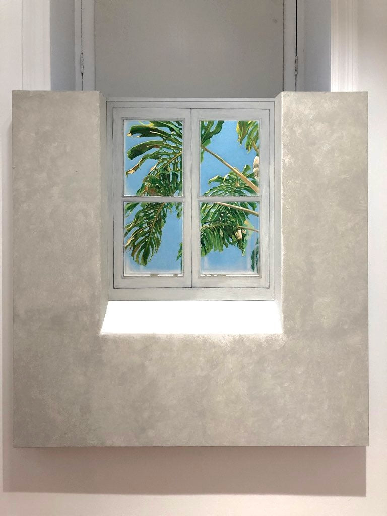 C3/6 Ventana II