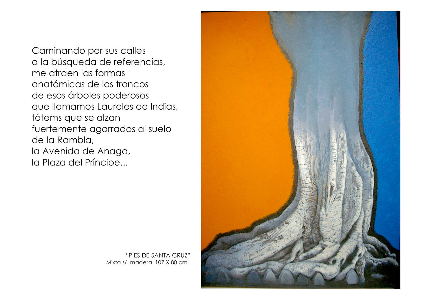 C3/9 Piel de Santa Cruz II