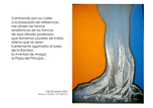 C3/9 Piel de Santa Cruz II